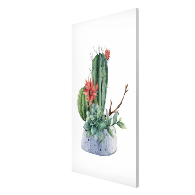 Obrazy nowoczesne Akwarela Ilustracja kaktusów