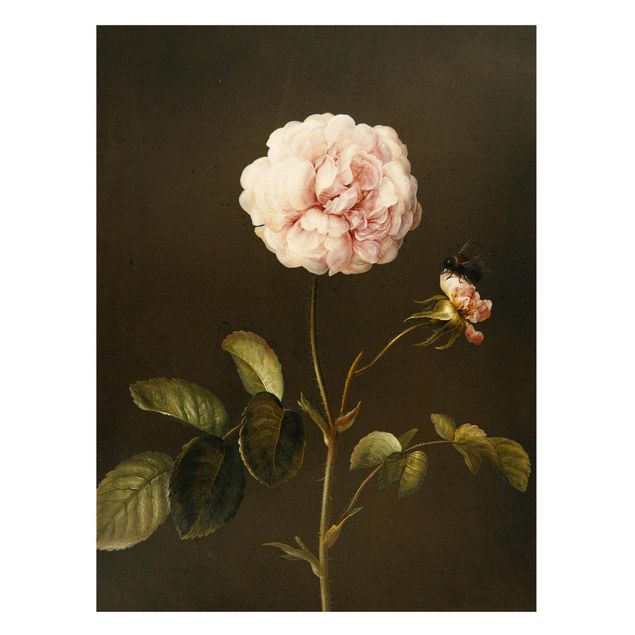 Obrazy do salonu Barbara Regina Dietzsch - Róża octowa z trzmielem