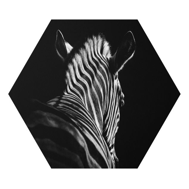 Zebra obraz Sylwetka zebry ciemnej