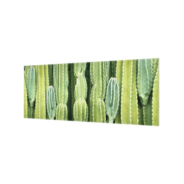 Panel szklany do kuchni - Ściana kaktusów