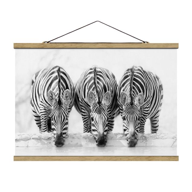 Obrazy ze zwierzętami Zebra Trio czarno-biała
