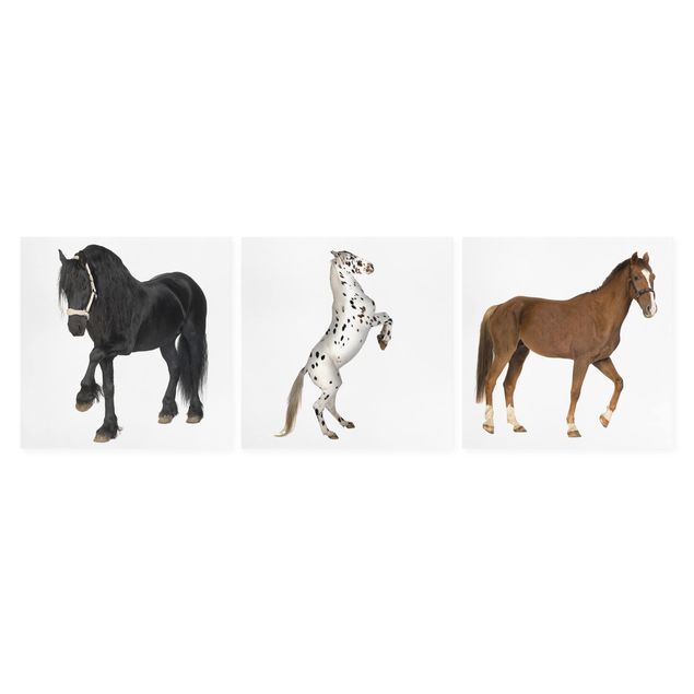 Obrazy na płótnie zwierzęta Three Horses Trio