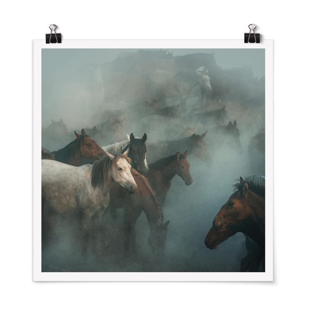 Obrazy nowoczesny Dzikie konie