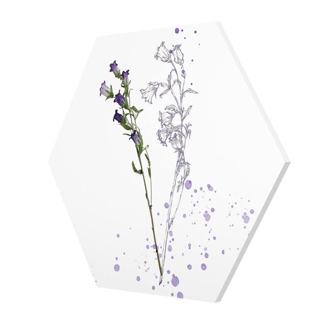 Obrazy z motywem kwiatowym Akwarela botaniczna - Dzwonek