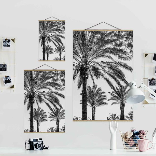 Obrazy z motywem kwiatowym Palmy o zachodzie słońca, czarno-białe
