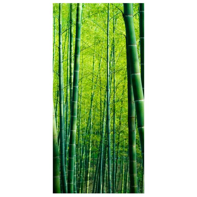 Parawan pokojowy Las bambusowy