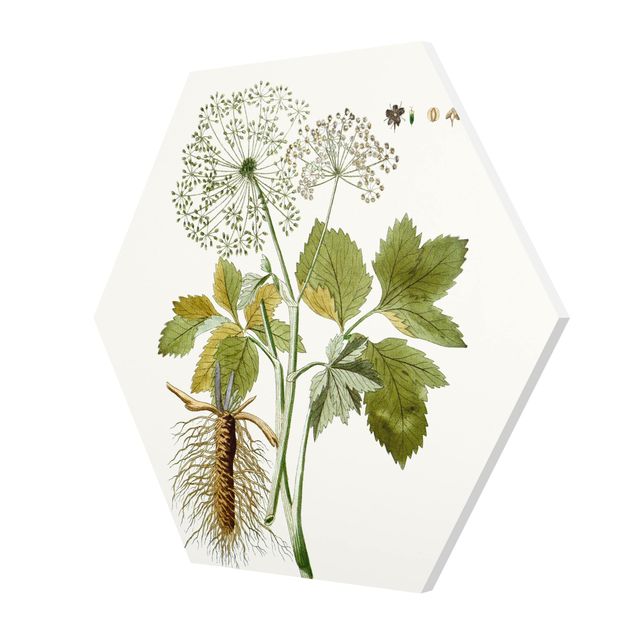 Obrazy z motywem kwiatowym Dzikie zioła tablica IV