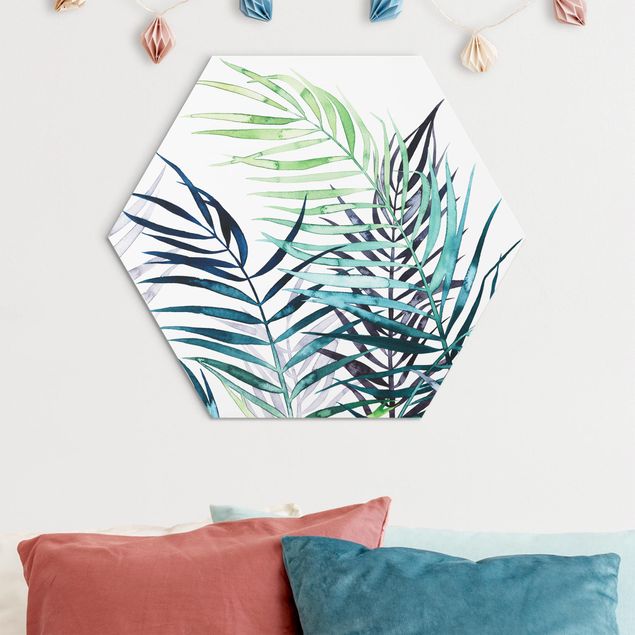 Obraz heksagonalny z Alu-Dibond - Egzotyczne liście - drzewo palmowe