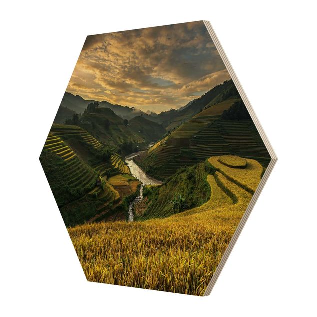 Obraz heksagonalny z drewna - Plantacje ryżu w Wietnamie