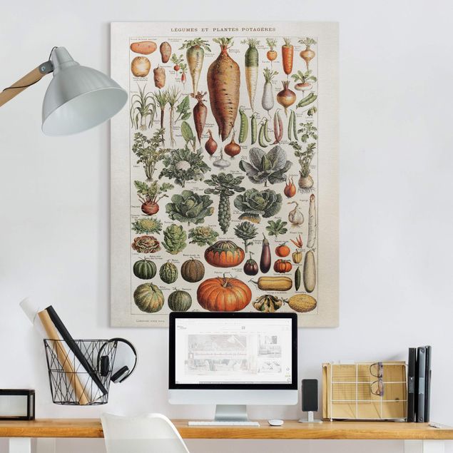 Obraz na płótnie - Tablica edukacyjna w stylu vintage Warzywa