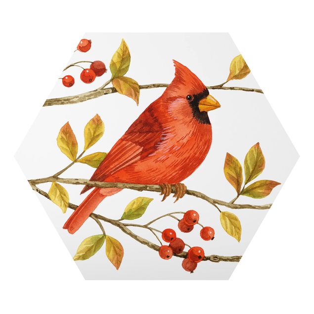 Vintage obrazy Ptaki i jagody - Czerwony kardynał