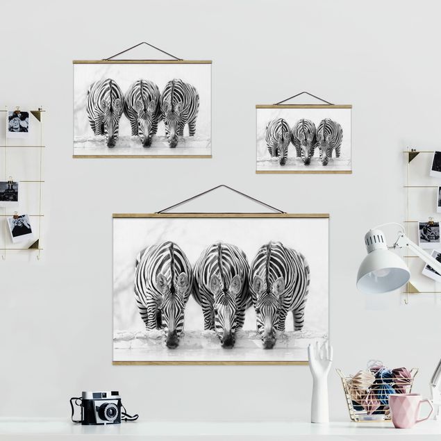 Obrazy zebra Zebra Trio czarno-biała