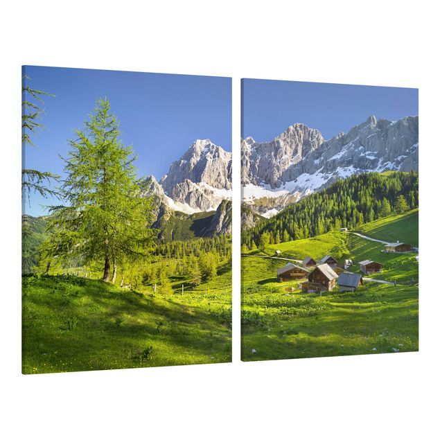 Góry obraz Styria Alpejska łąka