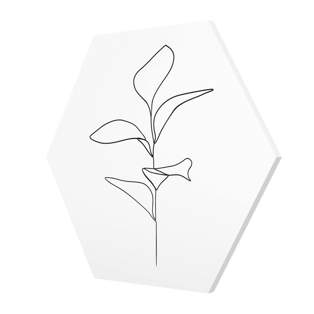 Obrazy line art Line Art Liście roślin Czarne Białe