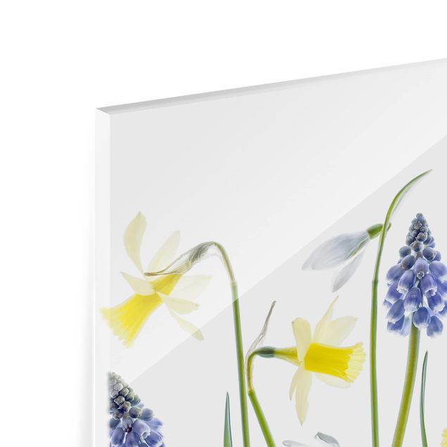 Panel szklany do kuchni - Kwiatki na wiosnę