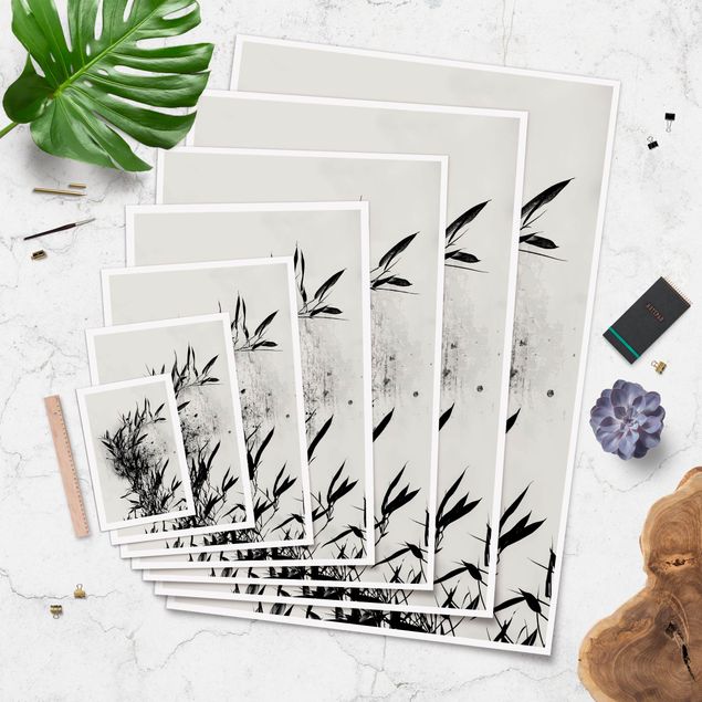 Obrazy z motywem kwiatowym Graficzny świat roślin - Czarny bambus