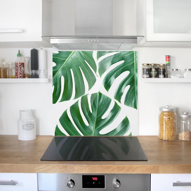 Panele szklane do kuchni Tropikalna Monstera o zielonych liściach