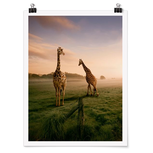 Obraz drzewo Surrealistyczne żyrafy