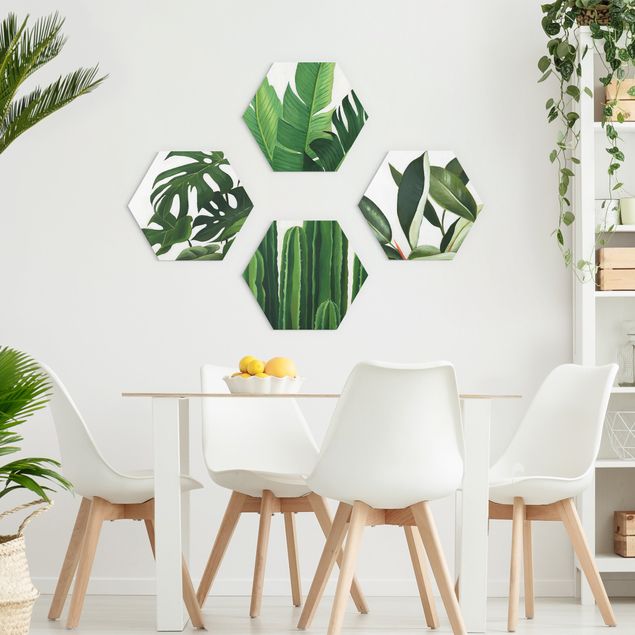Obraz heksagonalny z Alu-Dibond 4-częściowy - Favourite Plants Tropical Set I