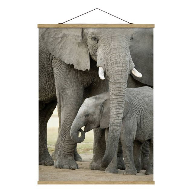 Obrazy zwierzęta Miłość słonia