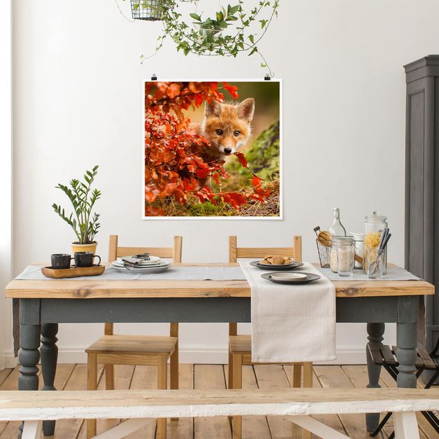 Dekoracja do kuchni Lis jesienią