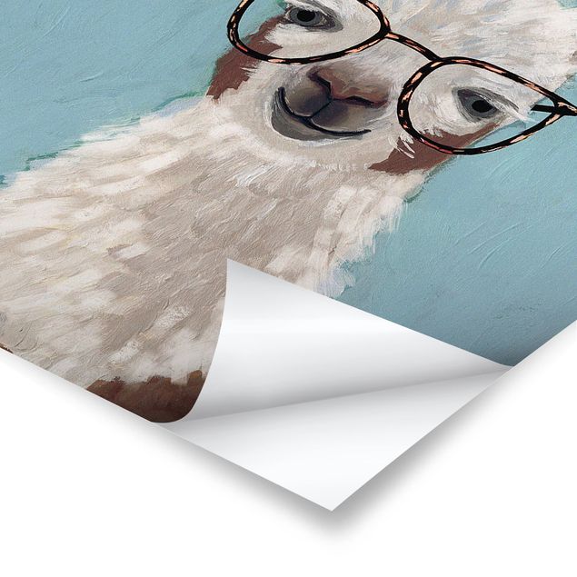 Plakat o zwierzętach Llama w okularach II