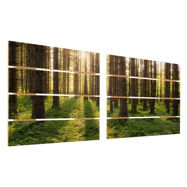 Obraz z drewna 2-częściowy - Promienie słońca w zielonym lesie