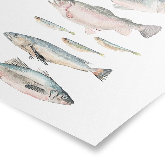 Obrazy z napisami Siedem rybek w akwareli II
