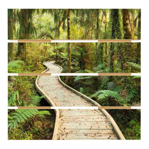 Obrazy na drewnie Ścieżka w dżungli