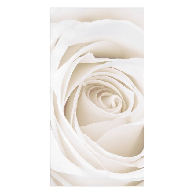 Tylna ścianka prysznicowa - Pretty White Rose