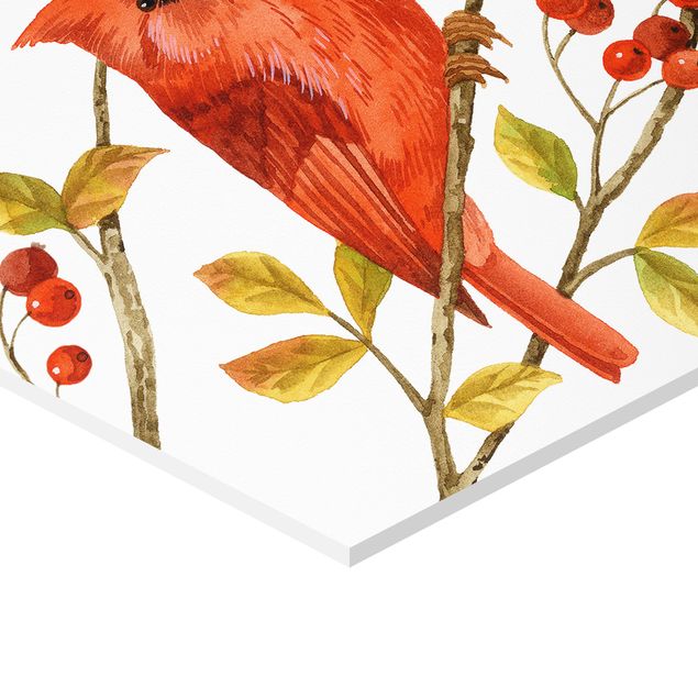 Obraz heksagonalny z Forex 4-częściowy - Zestaw II ptaki i jagody