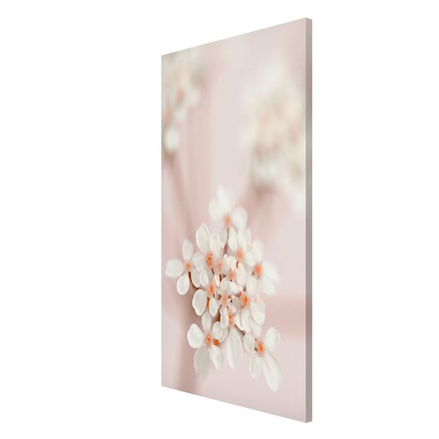 Obrazy nowoczesne Mini Blossoms w różowym świetle
