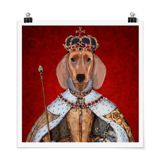 Obrazy nowoczesne Portret zwierzęcia - Królewna jamniczka