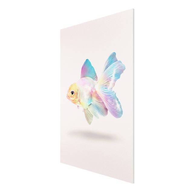 Nowoczesne obrazy Ryby w pastelach