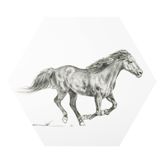 Obrazy zwierzęta Badanie dzikich koni - klacz