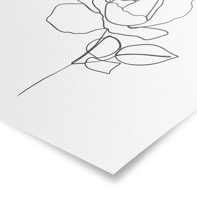 Obrazy motywy kwiatowe Line Art Róża czarno-biały