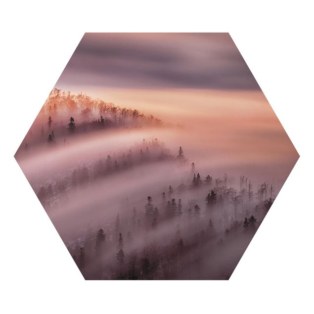 Obrazy na ścianę krajobrazy Powódź mgły