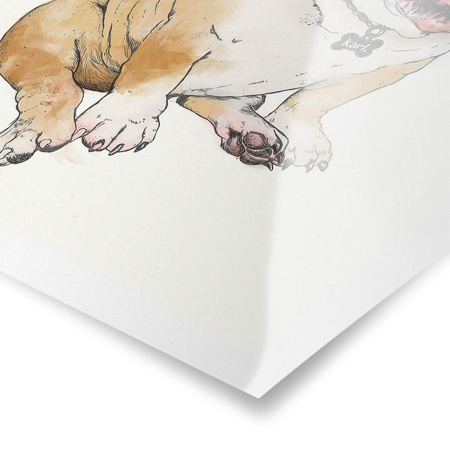 Plakaty zwierzęta ilustracja pies buldog obraz