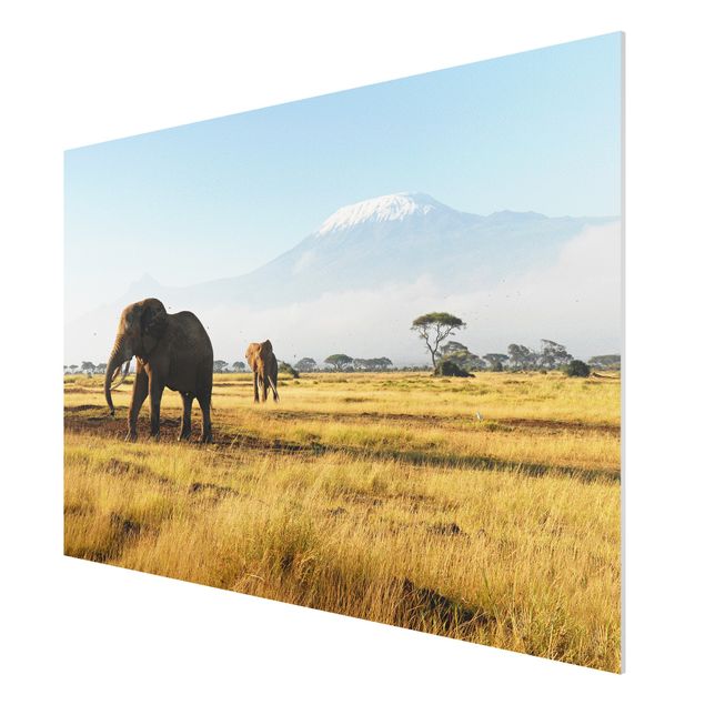 Nowoczesne obrazy Słonie na tle Kilimandżaro w Kenii