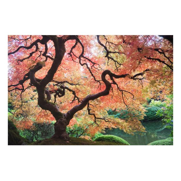 Nowoczesne obrazy do salonu Ogród japoński