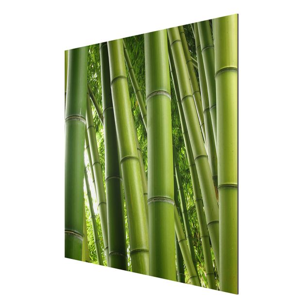 Nowoczesne obrazy Drzewa bambusowe Nr 1