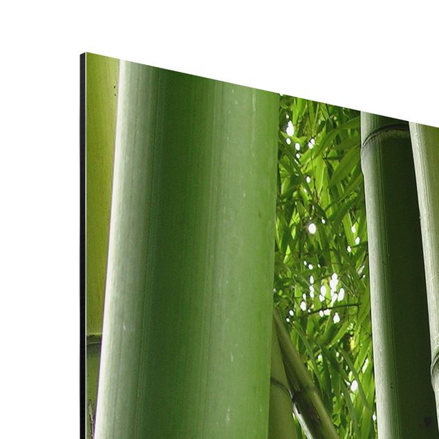 Obrazy krajobraz Drzewa bambusowe Nr 1