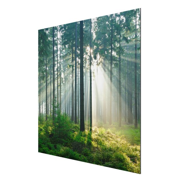Nowoczesne obrazy Świetlany las