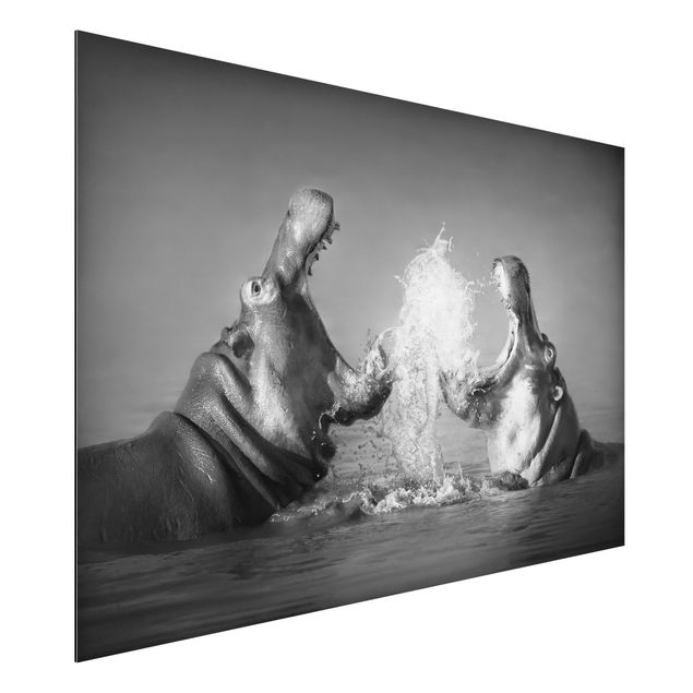Dekoracja do kuchni Walka z hipopotamami