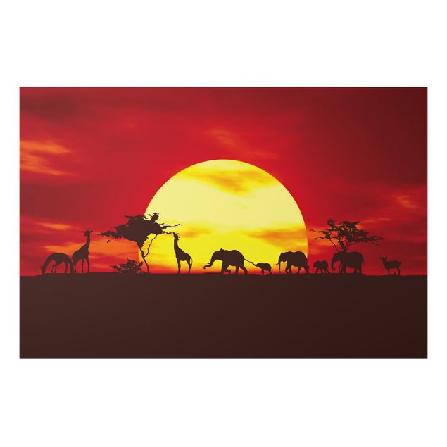 Obrazy do salonu Karawana o zachodzie słońca