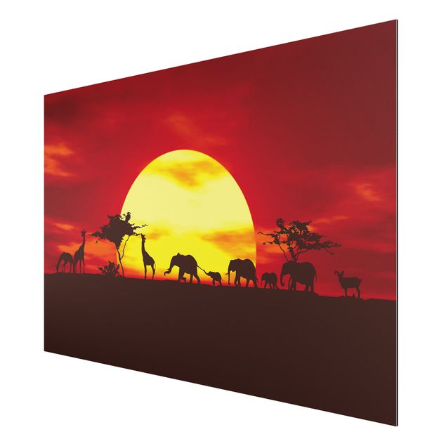 Obrazy nowoczesne Karawana o zachodzie słońca