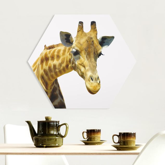 Obrazy do salonu Nr 21 Ciekawa żyrafa