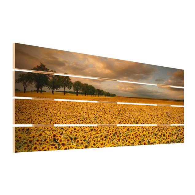 Obraz z drewna - Pole z słonecznikami