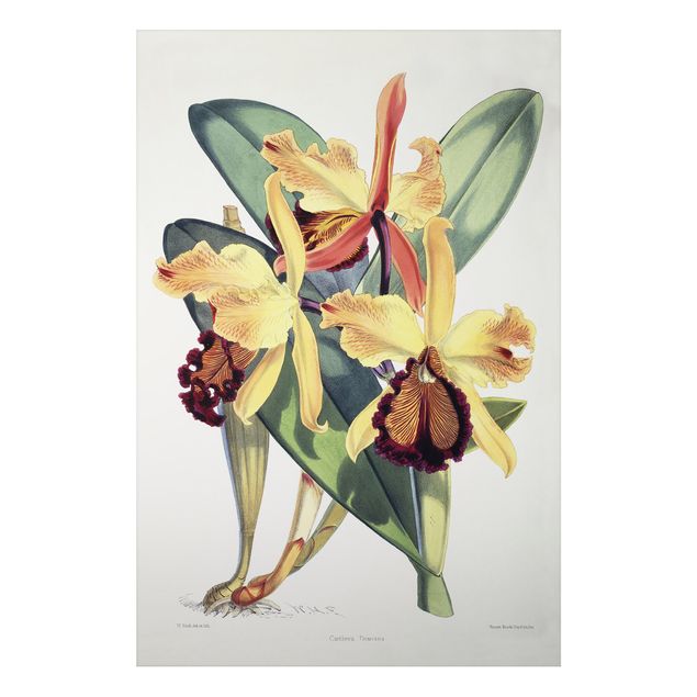 Dekoracja do kuchni Walter Hood Fitch - Orchidea