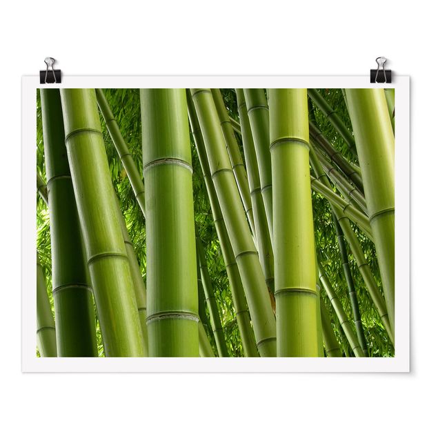 Obrazy krajobraz Drzewa bambusowe Nr 2